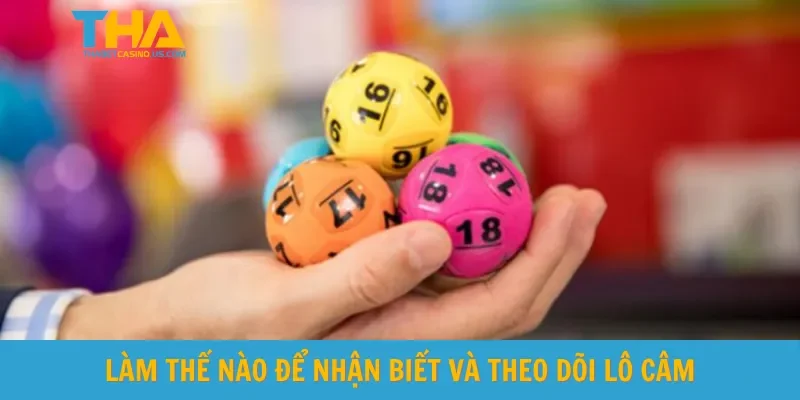 Làm thế nào để nhận biết và theo dõi lô câm